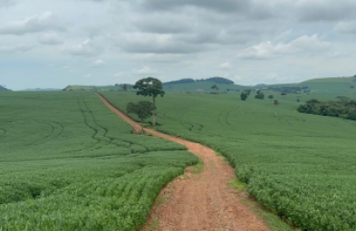 Fazenda para venda em Taquarituba